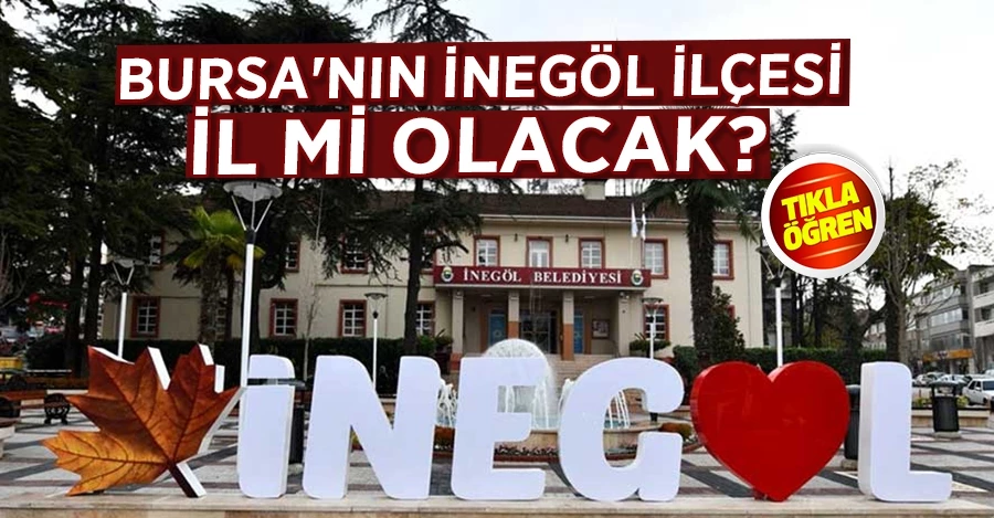 Bursa
