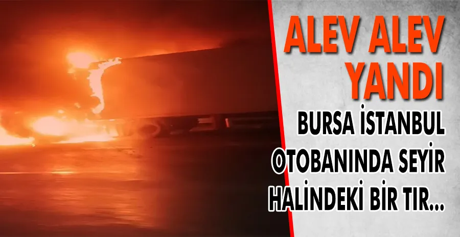 Bursa İstanbul otobanındaki tır alev alev yandı