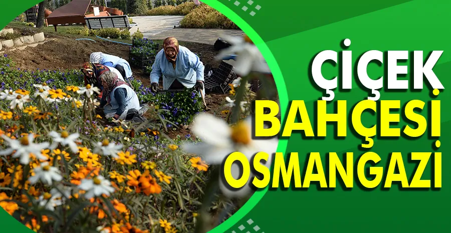 Osmangazi Belediyesi ilçeyi adeta bir çiçek bahçesine çeviriyor