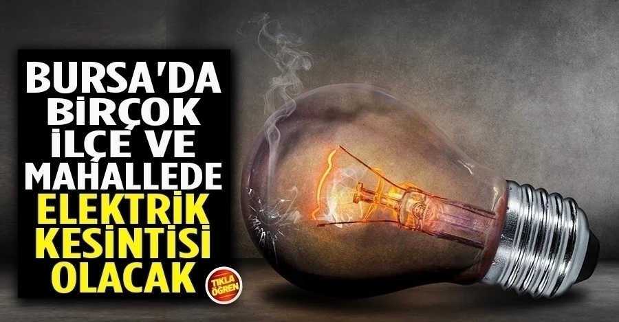 Bursa