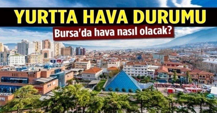Bursa