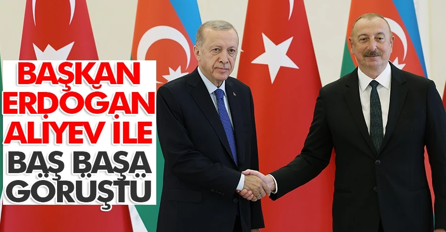  Cumhurbaşkanı Erdoğan, Aliyev ile baş başa görüştü   