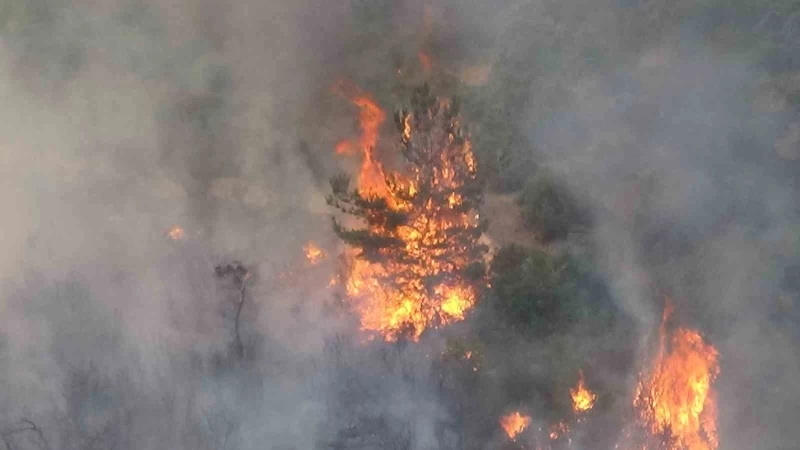 Çanakkale’deki orman yangınında 28 saat geride kaldı
