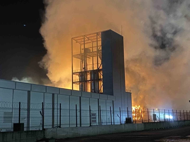 Tekirdağ’da karton fabrikasında yangın: Alevler geceyi aydınlattı
