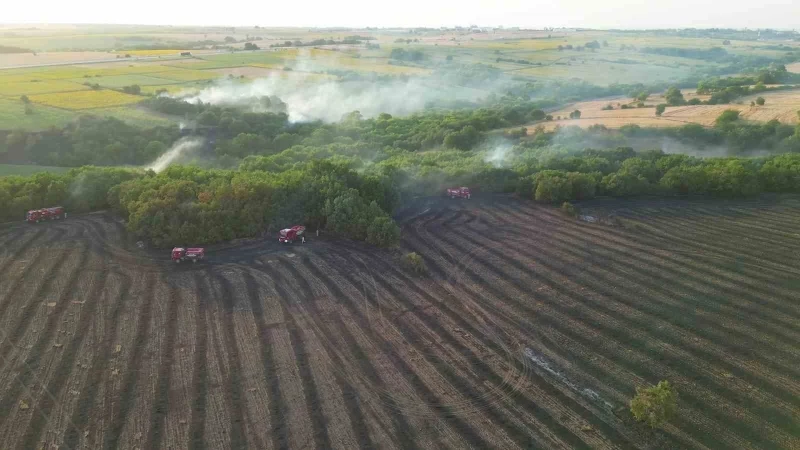 Edirne’deki orman yangınının havadan görüntüsü ortaya çıktı
