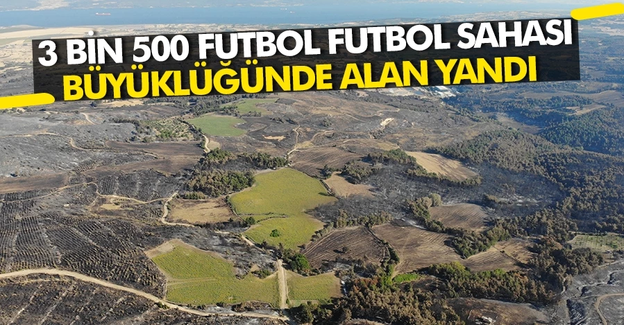 3 bin 500 futbol futbol sahası büyüklüğünde alan yandı