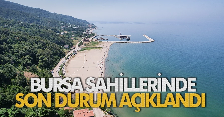  Bursa sahillerinde son durum açıklandı 