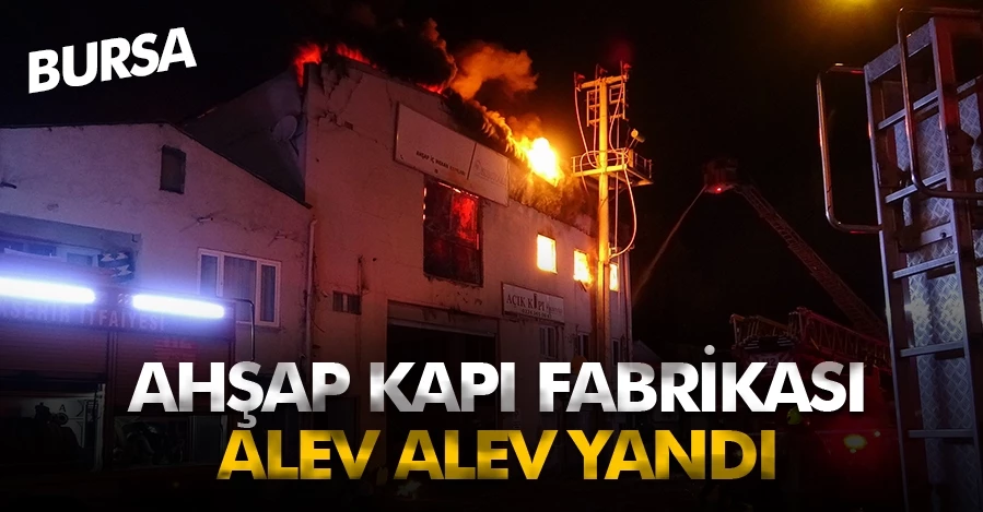 Ahşap kapı fabrikası alev alev yandı   