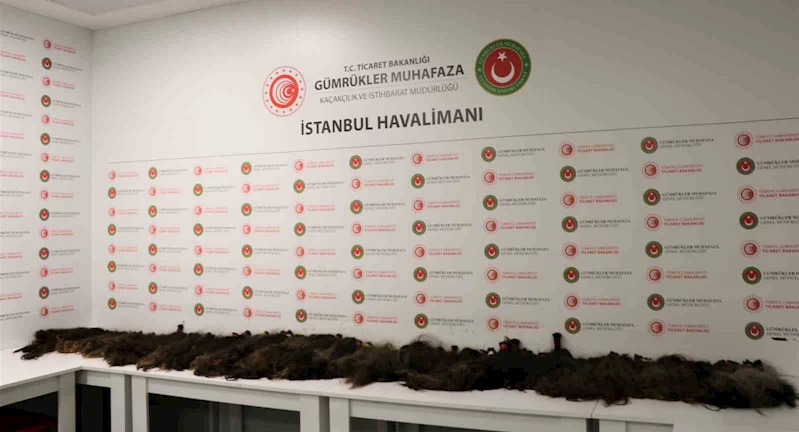 İstanbul’da İnsan saçı kaçakçılarına gümrük muhafaza engeli
