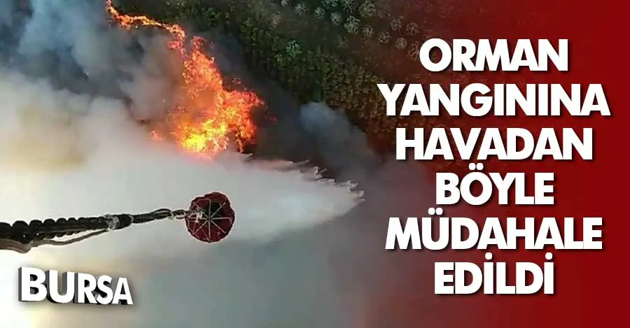 Bursa’daki orman yangınına havadan böyle müdahale edildi   