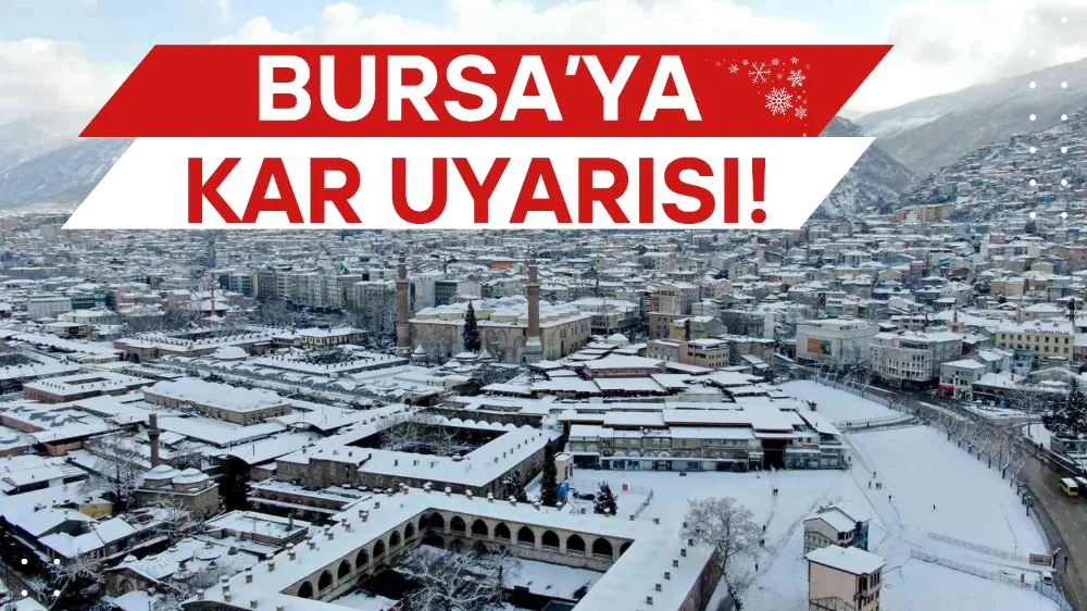 Bursa