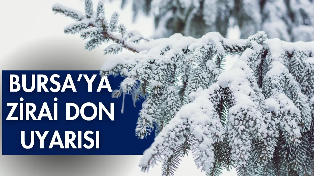 Meteoroloji’den Bursa ve çevre illeri için zirai don uyarısı