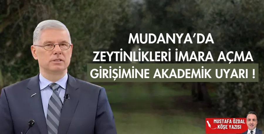 Mudanya’da zeytinlikleri imara açma girişimine akademik uyarı!