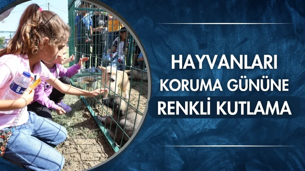 Hayvanları koruma gününe renkli kutlama