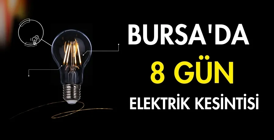 Bursa