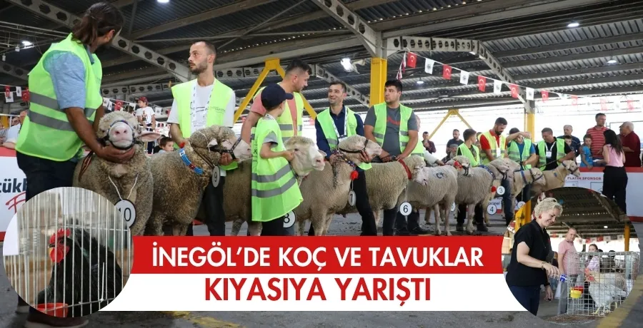 İnegöl