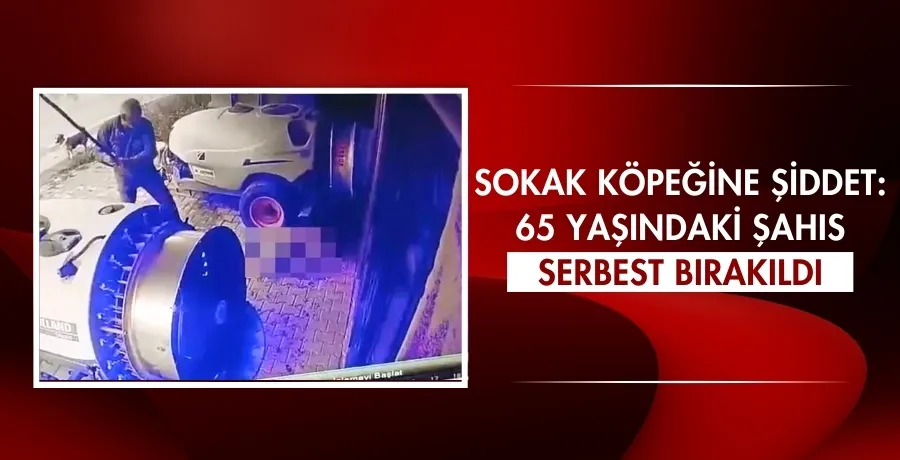 Sokak köpeğine şiddet: 65 yaşındaki şahıs serbest bırakıldı