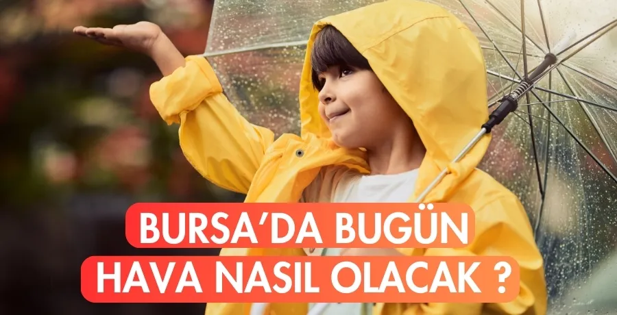 Bursa