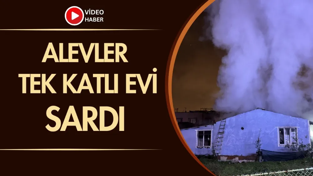 Alevler tek katlı evi sardı