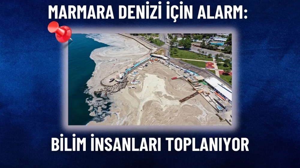 Marmara Denizi için kritik toplantı: Müsilaj Bilim Kurulu toplanıyor