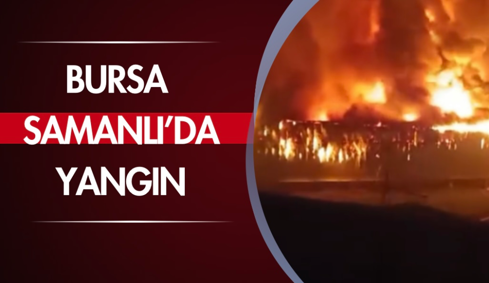 Bursa’da gıda deposundaki yangın çıktı