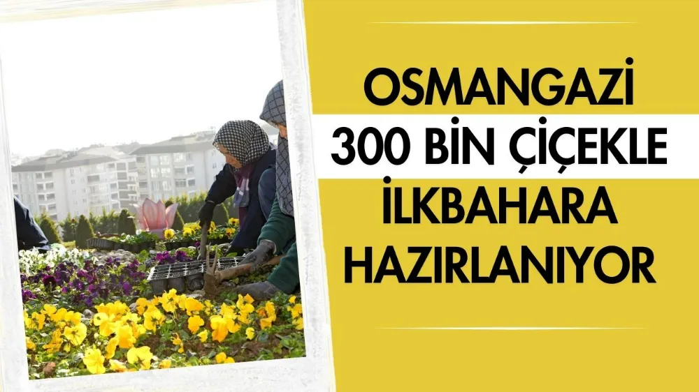 Osmangazi, 300 bin çiçekle ilkbahara hazırlanıyor