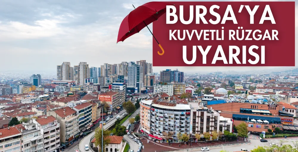 Bursa