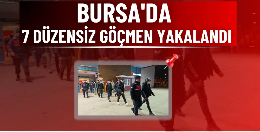 Bursa