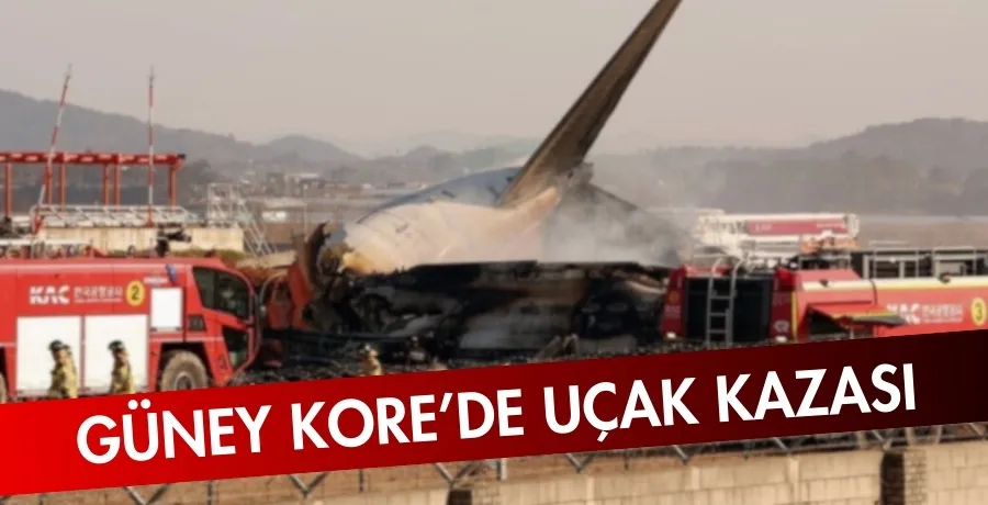 Güney Kore’de uçak kazası