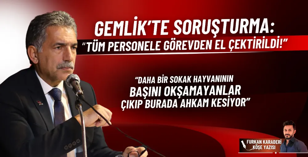 Gemlik’te soruşturma: