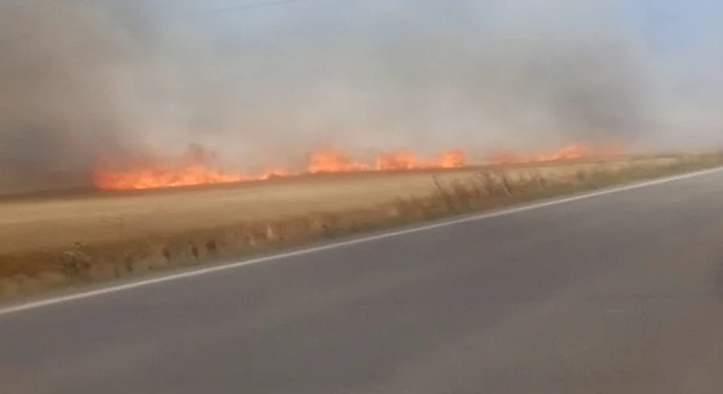 Tekirdağ’da 180 dönüm buğday cayır cayır yandı: 3 yaralı
