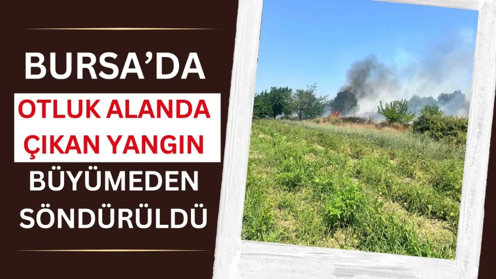 Bursa’da otluk alanda çıkan yangın büyümeden söndürüldü