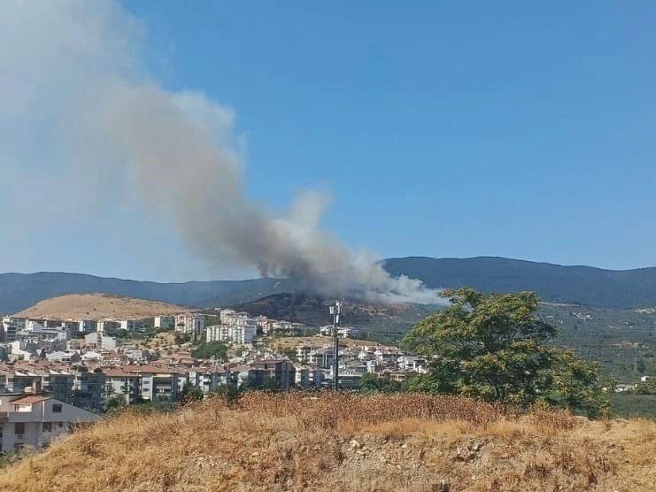 Balıkesir’de orman yangını