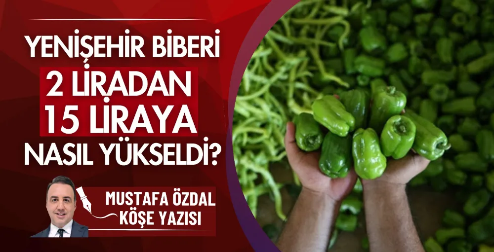 Yenişehir biberi 2 liradan 15 liraya nasıl yükseldi?