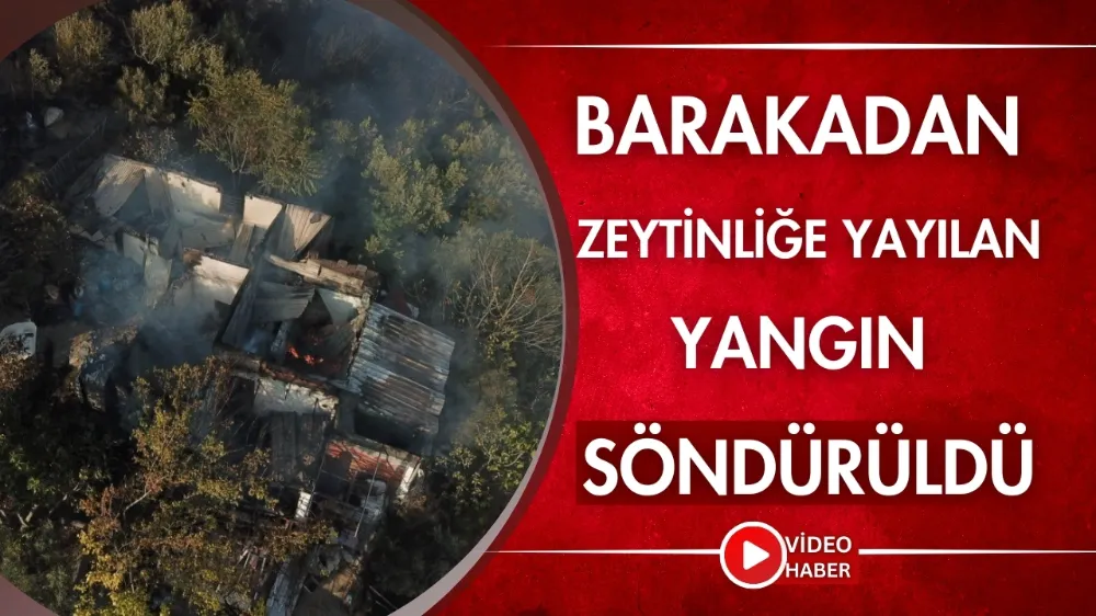 Barakadan zeytinliğe yayılan yangın söndürüldü