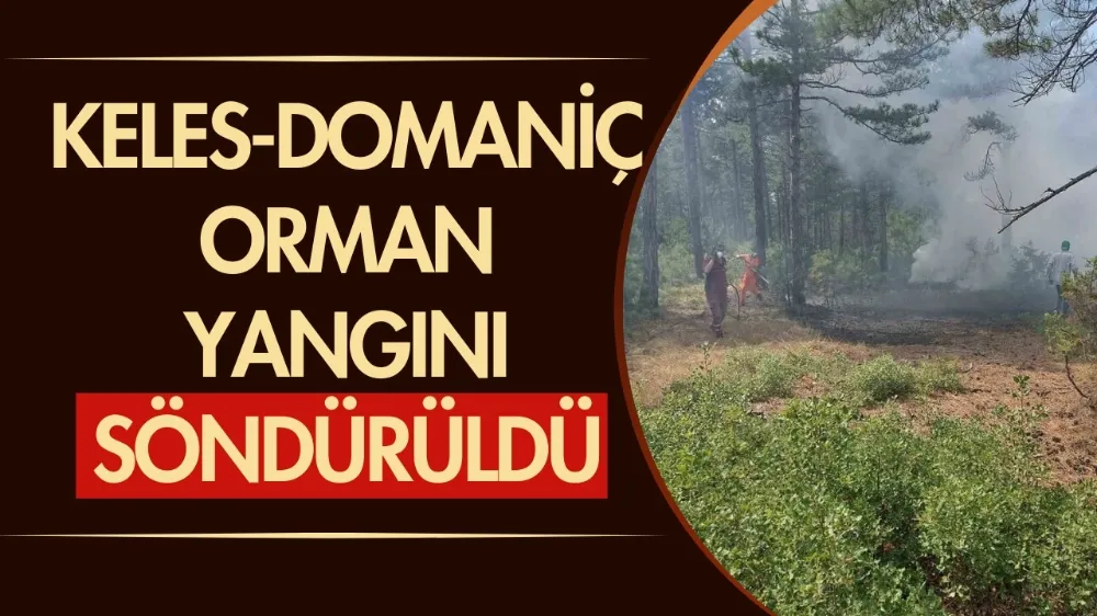 Keles ve Domaniç’te yıldırım yangını söndürüldü