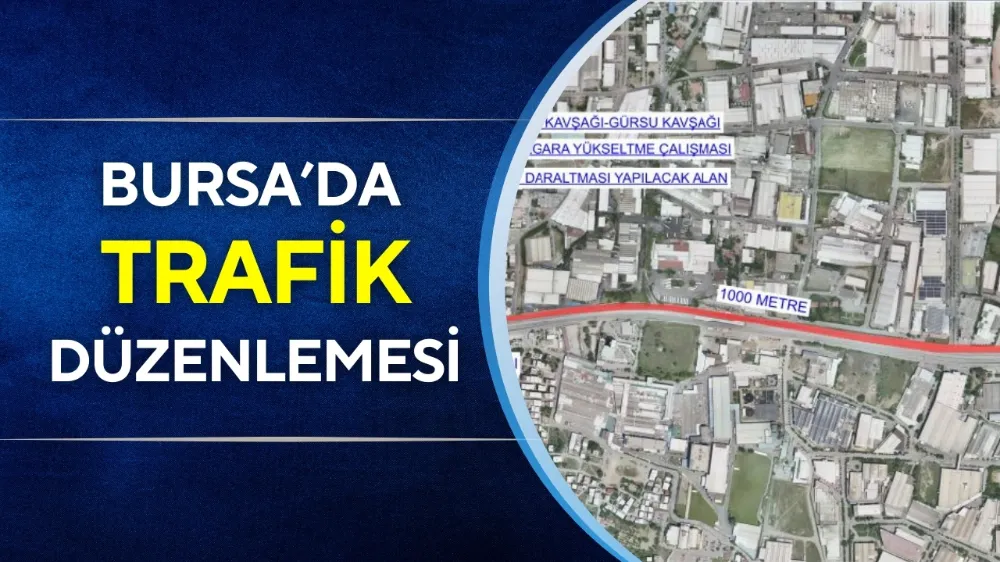 Bursa