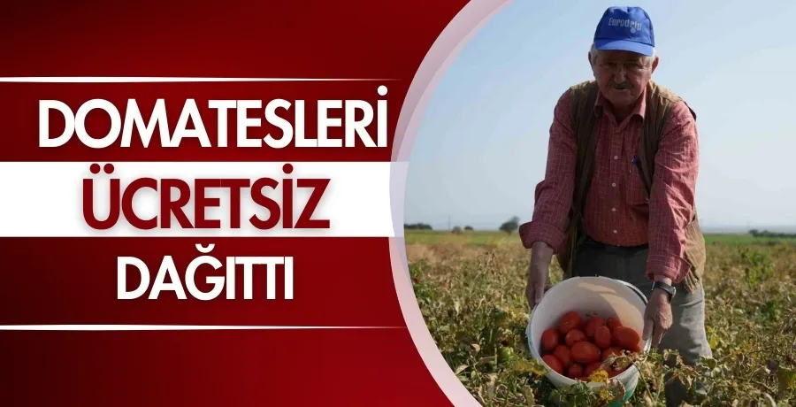 Domatesleri ücretsiz dağıttı