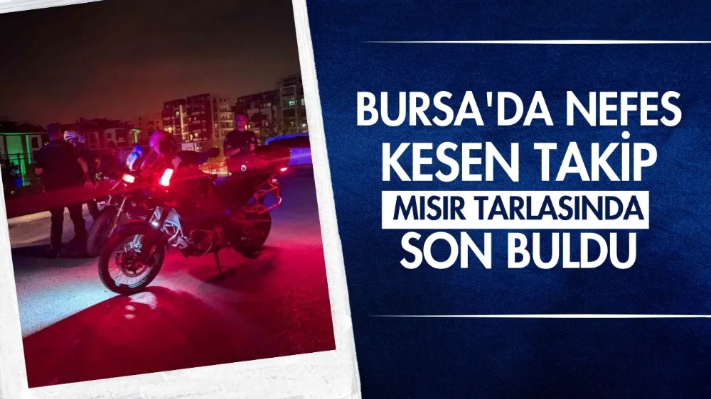 Bursa