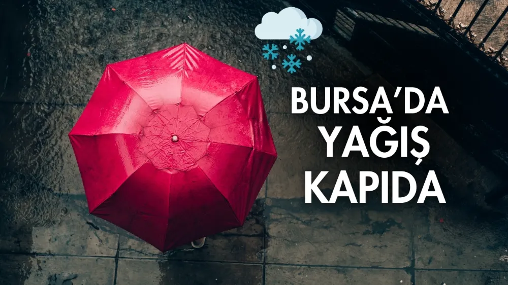 Bursa