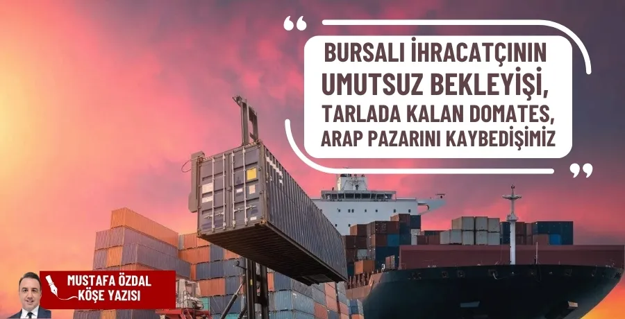 Bursalı ihracatçının umutsuz bekleyişi, tarlada kalan domates, Arap pazarını kaybedişimiz 