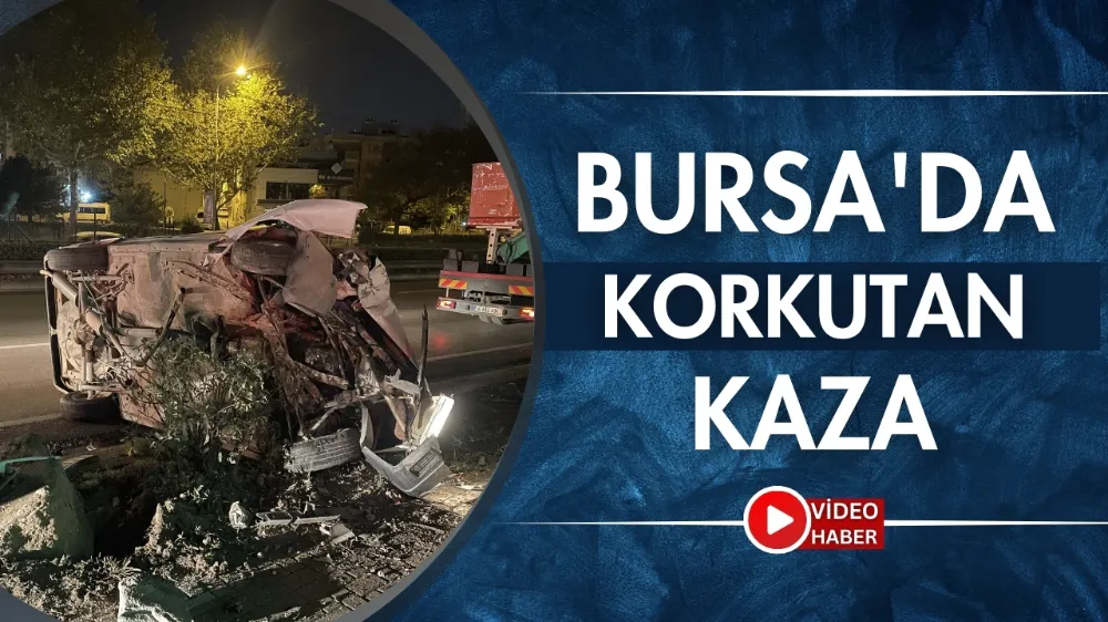 Bursa