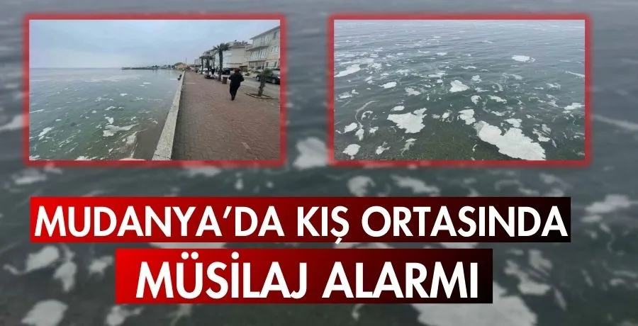 Mudanya’da kış ortasında müsilaj alarmı