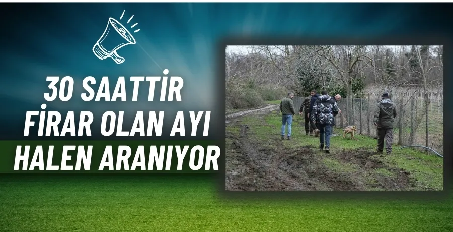 30 saattir firar olan ayı halen aranıyor