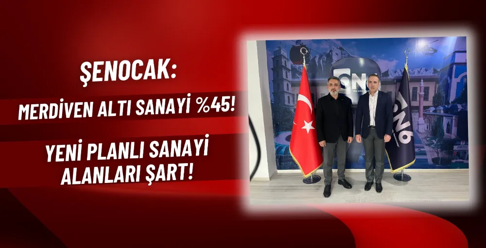 Şenocak: 