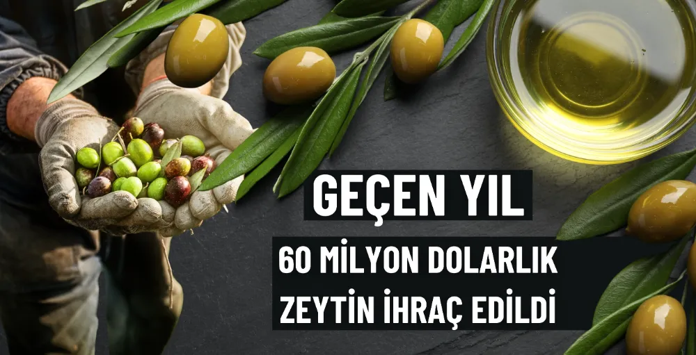 Geçen yıl 60 milyon dolarlık zeytin ihraç edildi