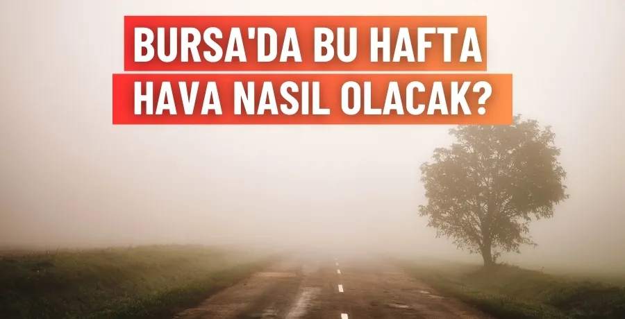 Bursa