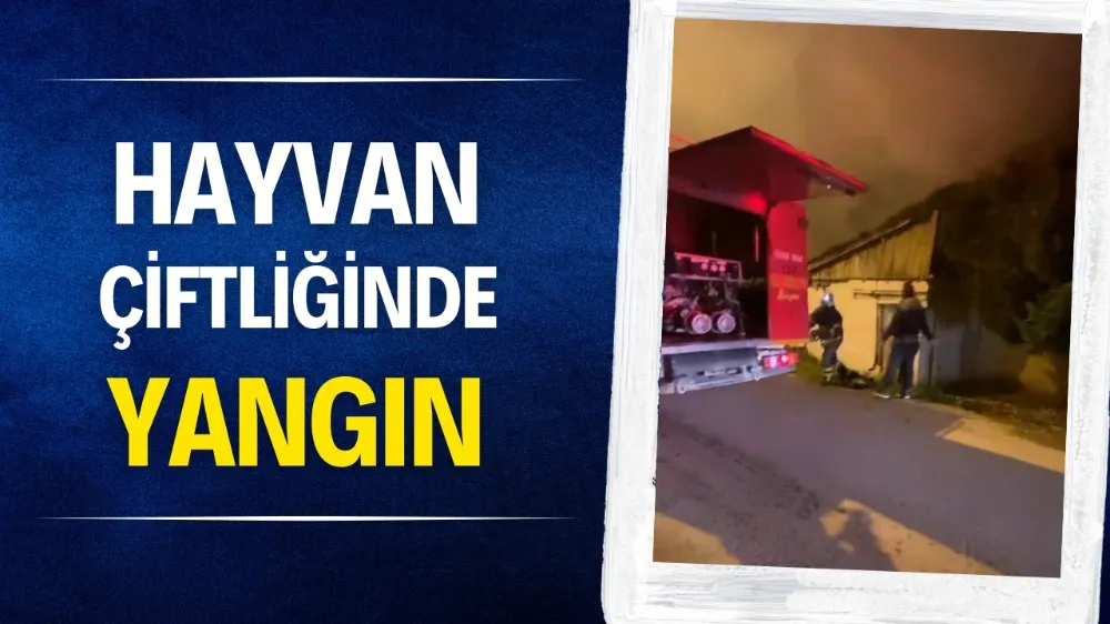 Hayvan çiftliğinde yangın 