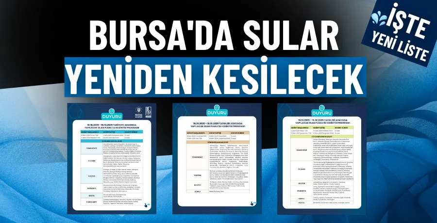 Bursa