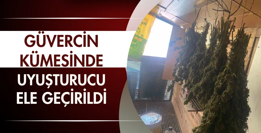 Güvercin kümesinde uyuşturucu ele geçirildi